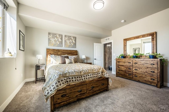 740 S Galileo Dr, Pueblo West, CO 81007 - photo 41