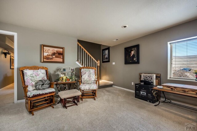 1279 S Avenida Del Oro, Pueblo West, CO 81007 - photo 24