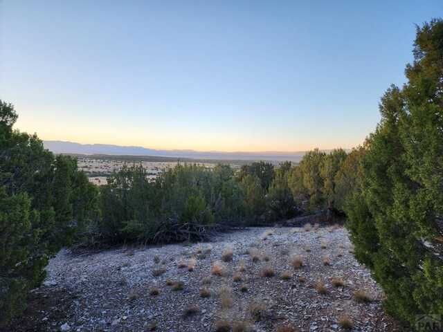 Listing photo 3 for TBD Newton Rd, Pueblo CO 81005