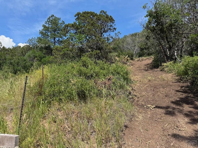 TBD-2 Vine Mesa Ave, Beulah, CO 81023