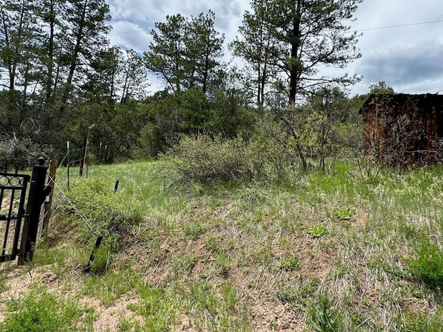 TBD-2 Vine Mesa Ave, Beulah, CO 81023