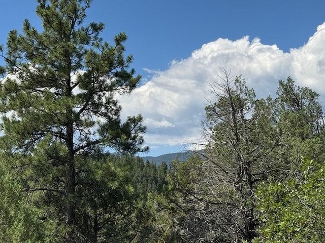 TBD-2 Vine Mesa Ave, Beulah, CO 81023