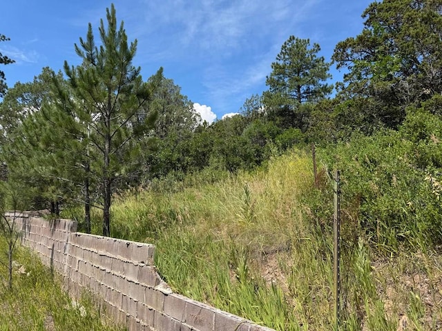 TBD-2 Vine Mesa Ave, Beulah, CO 81023