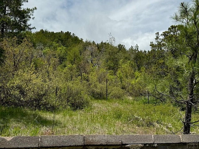 TBD-2 Vine Mesa Ave, Beulah, CO 81023