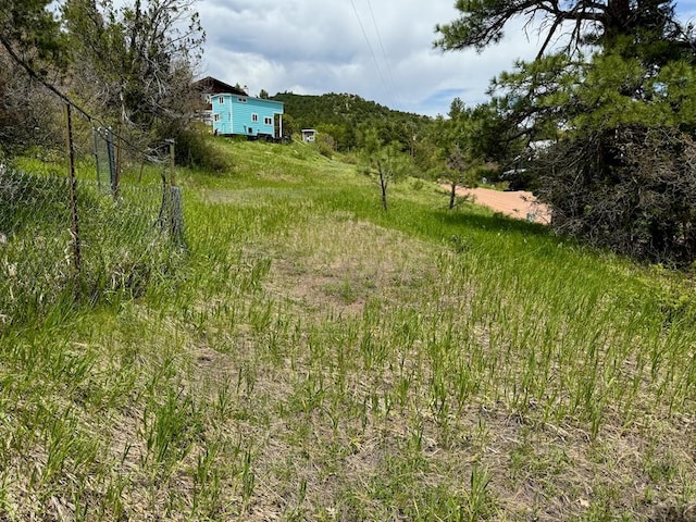 TBD-2 Vine Mesa Ave, Beulah, CO 81023