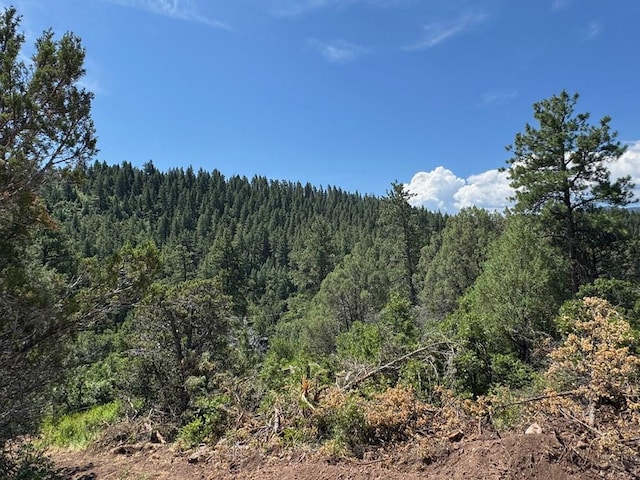 TBD-2 Vine Mesa Ave, Beulah, CO 81023