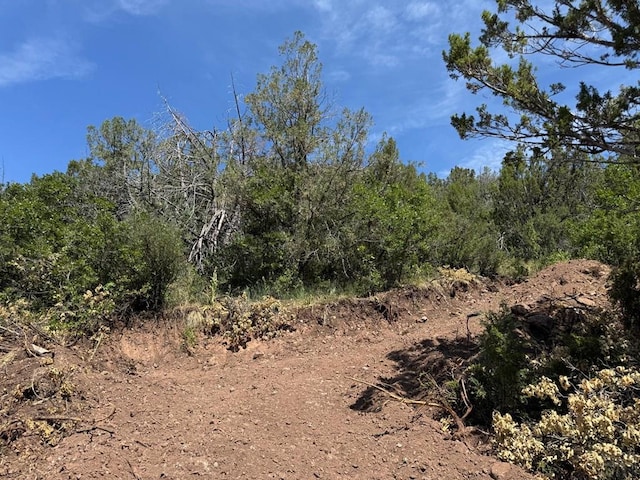 TBD-2 Vine Mesa Ave, Beulah, CO 81023