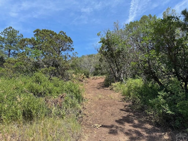 TBD-2 Vine Mesa Ave, Beulah, CO 81023