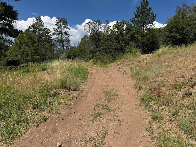 TBD-2 Vine Mesa Ave, Beulah, CO 81023