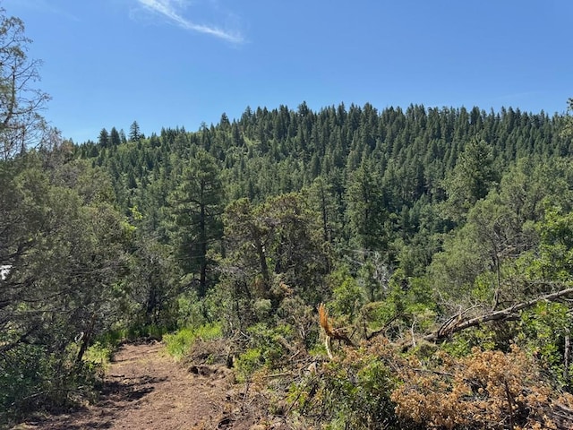 TBD-2 Vine Mesa Ave, Beulah, CO 81023