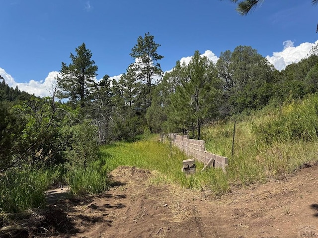TBD-2 Vine Mesa Ave, Beulah, CO 81023
