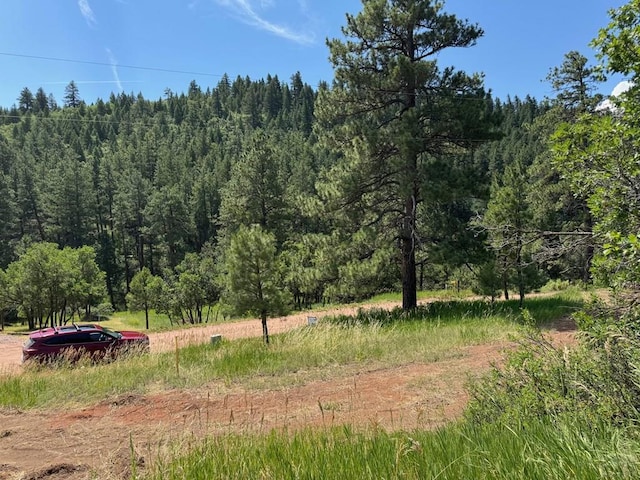 TBD-2 Vine Mesa Ave, Beulah, CO 81023