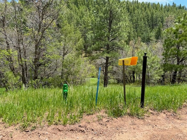 TBD-2 Vine Mesa Ave, Beulah, CO 81023