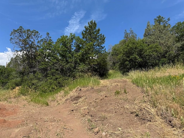 TBD-2 Vine Mesa Ave, Beulah, CO 81023