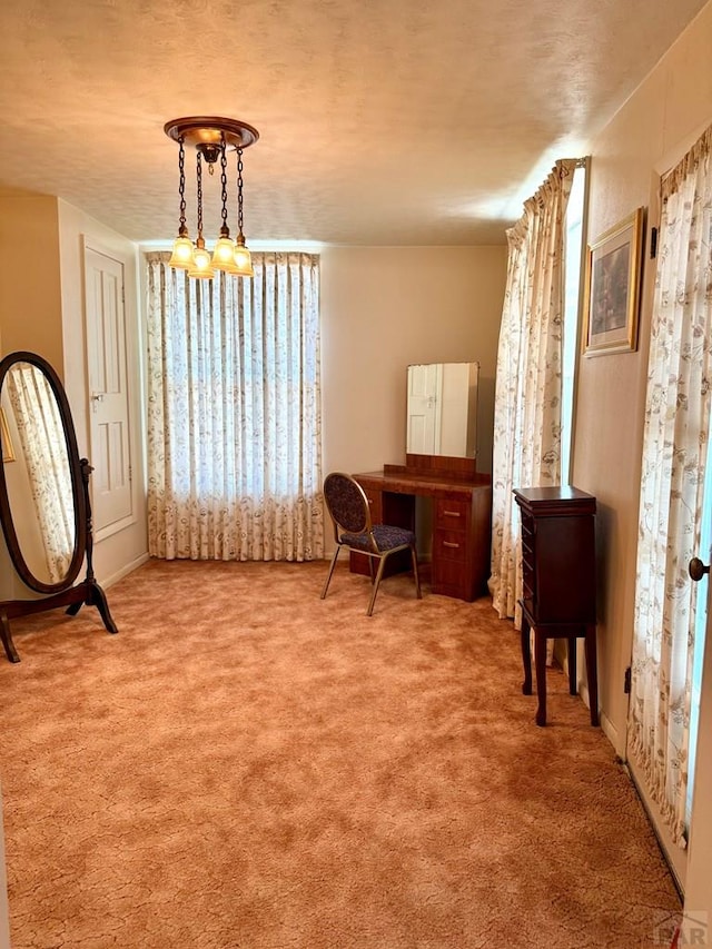 602 Belleview Ave, La Junta, CO 81050 - view of carpeted home office