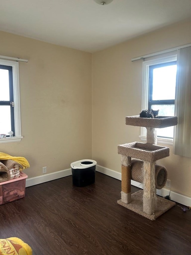 misc room with plenty of natural light, baseboards, and wood finished floors