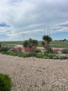 2144 W Woodstock Dr, Pueblo West, CO 81007 - photo 3