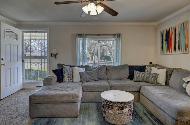 living area with ornamental molding, a wealth of natural light, dark colored carpet, and a ceiling fan