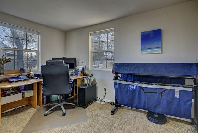 carpeted office featuring baseboards