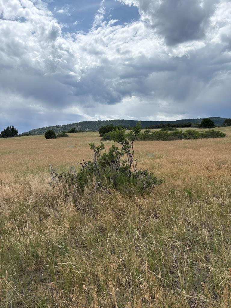 LOT8 SW Lago Vistas Blvd, Colorado City, CO 81019 - photo 1