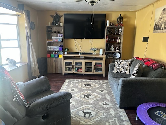 living area featuring wood finished floors
