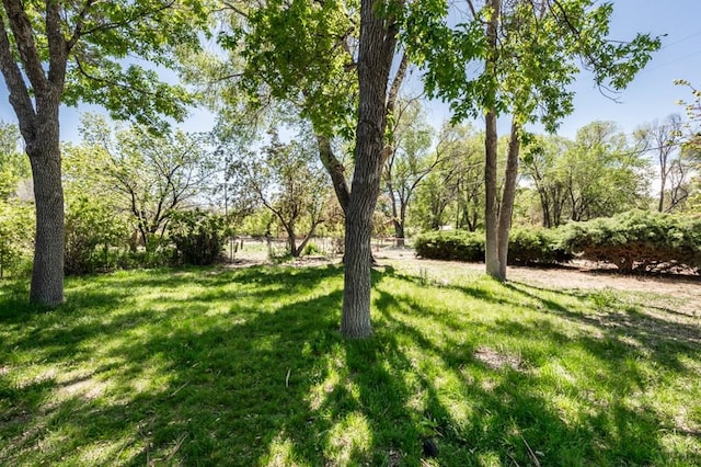 2233 Daniel Rd, Pueblo, CO 81006 - photo 25