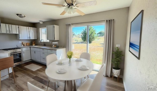 kitchen with light countertops, dark wood-style flooring, a sink, and white cabinetry