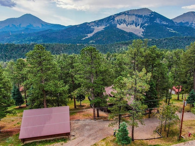 130 County Road 406, Cuchara, CO 81055 - photo 16