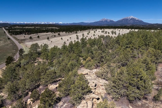 23055 County Rd 43.7, Aguilar, CO 81020 - photo 38