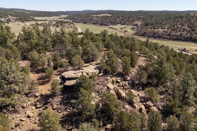 23055 County Rd 43.7, Aguilar, CO 81020 - photo 37