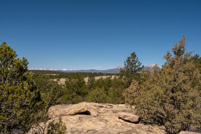 23055 County Rd 43.7, Aguilar, CO 81020 - photo 39