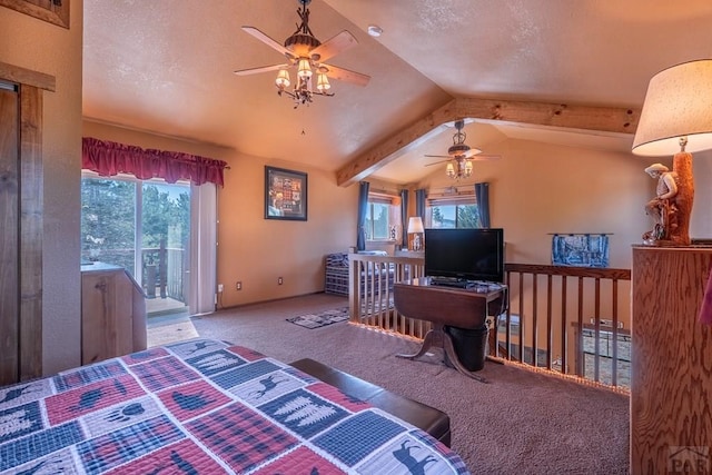 23055 County Rd 43.7, Aguilar, CO 81020 - photo 17