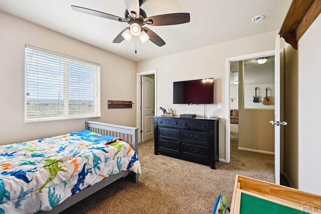 1797 N Bat Masterson Ln, Pueblo West, CO 81007 - photo 29