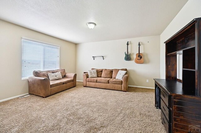 1797 N Bat Masterson Ln, Pueblo West, CO 81007 - photo 25