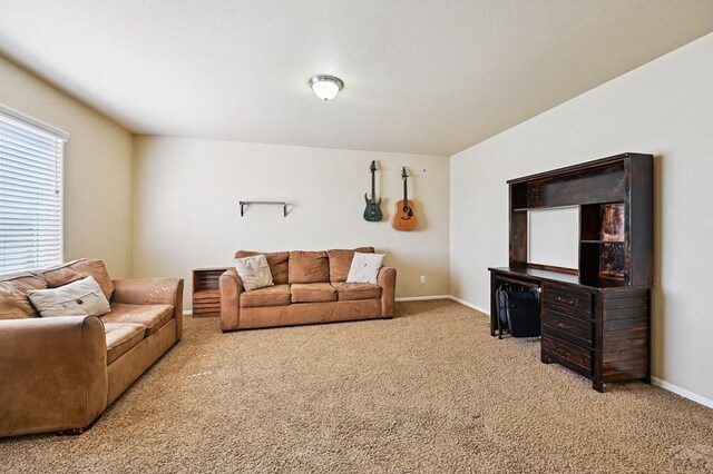 1797 N Bat Masterson Ln, Pueblo West, CO 81007 - photo 26