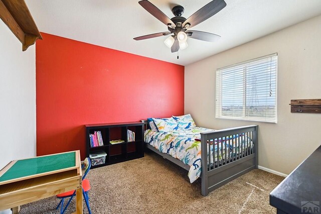 1797 N Bat Masterson Ln, Pueblo West, CO 81007 - photo 28