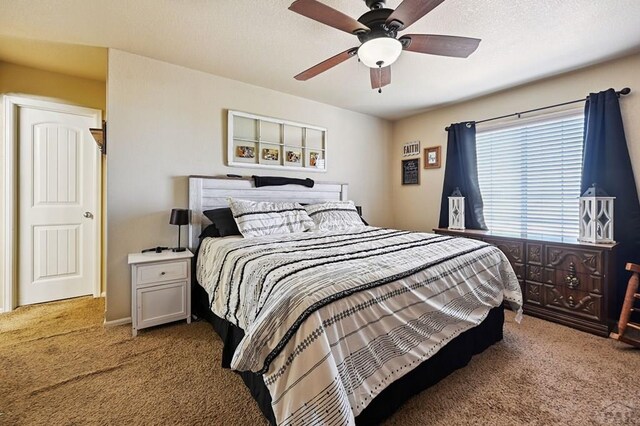 1797 N Bat Masterson Ln, Pueblo West, CO 81007 - photo 19