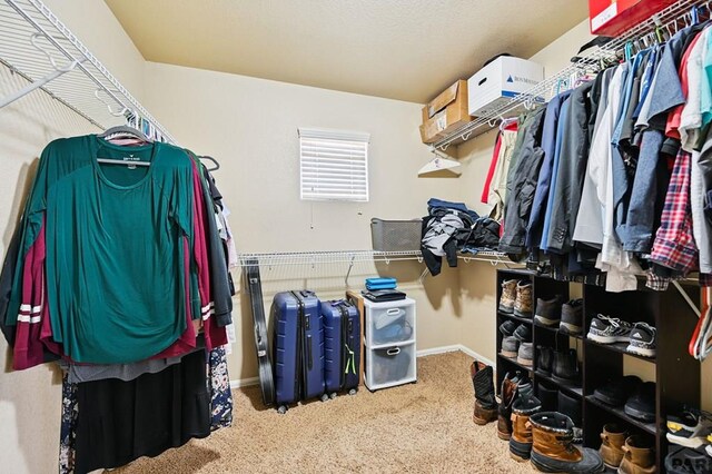 1797 N Bat Masterson Ln, Pueblo West, CO 81007 - photo 24
