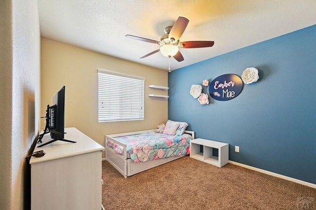 1797 N Bat Masterson Ln, Pueblo West, CO 81007 - photo 31