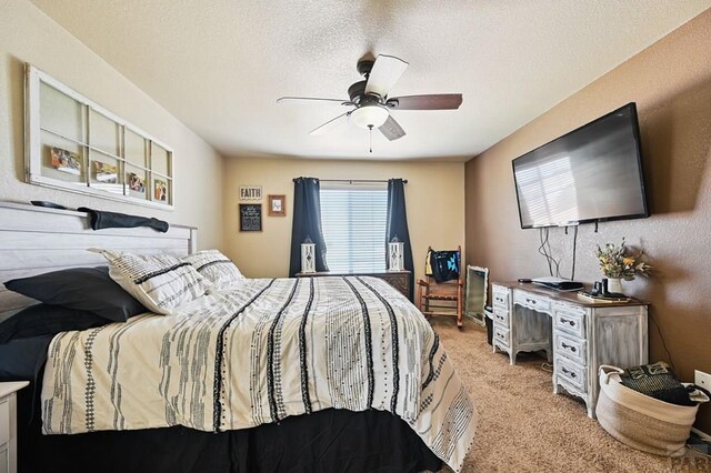 1797 N Bat Masterson Ln, Pueblo West, CO 81007 - photo 20