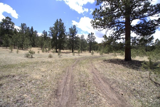 view of local wilderness with a rural view and a wooded view