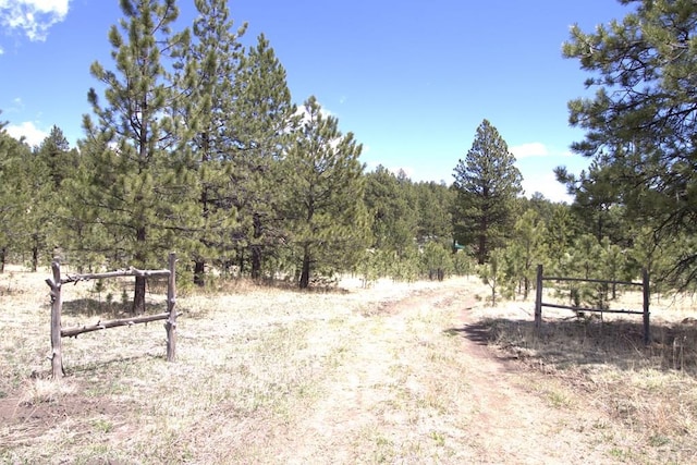 view of street with a wooded view and a rural view
