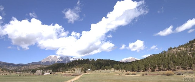 property view of mountains with a rural view and a forest view