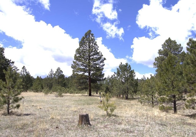 view of local wilderness featuring a rural view and a view of trees