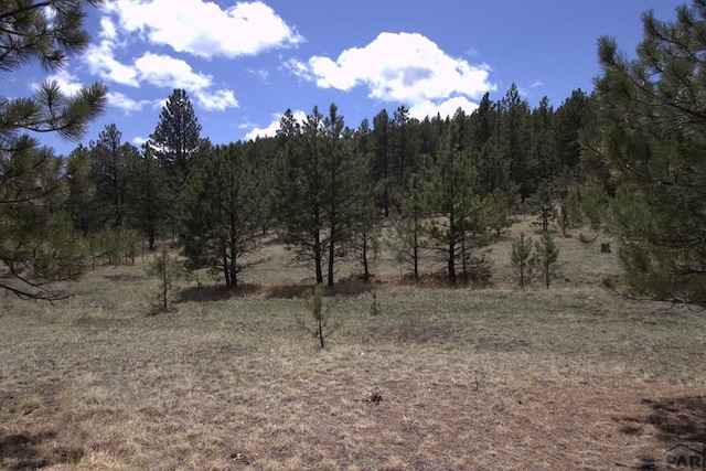 view of landscape featuring a wooded view