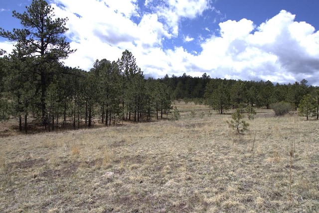 view of landscape with a rural view