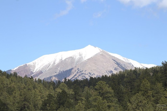 view of mountain feature with a wooded view