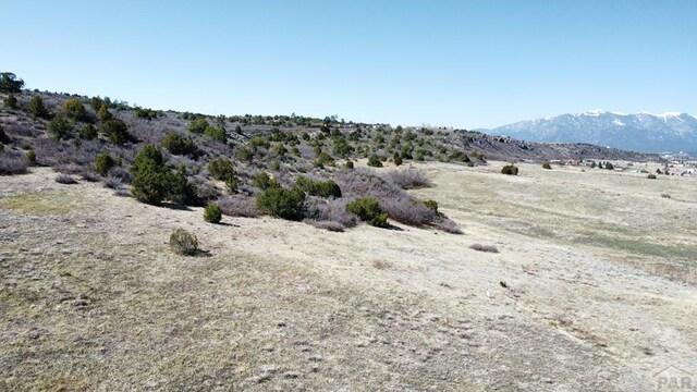 LOT656 La Jara Way, Colorado City, CO 81019 - photo 3