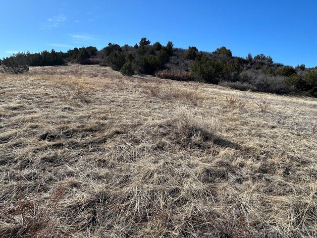 LOT656 La Jara Way, Colorado City, CO 81019 - photo 7