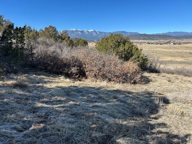 LOT656 La Jara Way, Colorado City, CO 81019 - photo 11